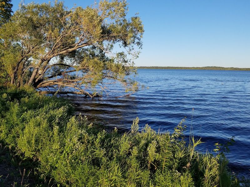 Walking and Running Trails