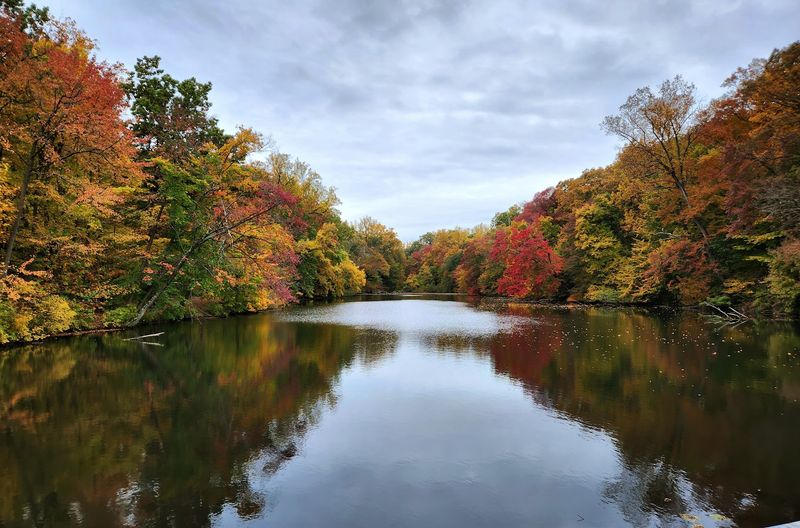 Wander Through Pennypacker Park Wander Through Pennypacker Park