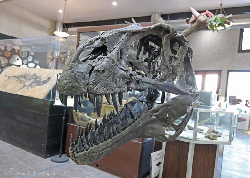 Watch Real Paleontologists at Work Watch Real Paleontologists at Work