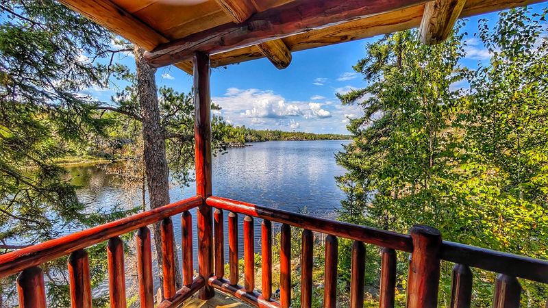 Watching Loons Nest on the Lake