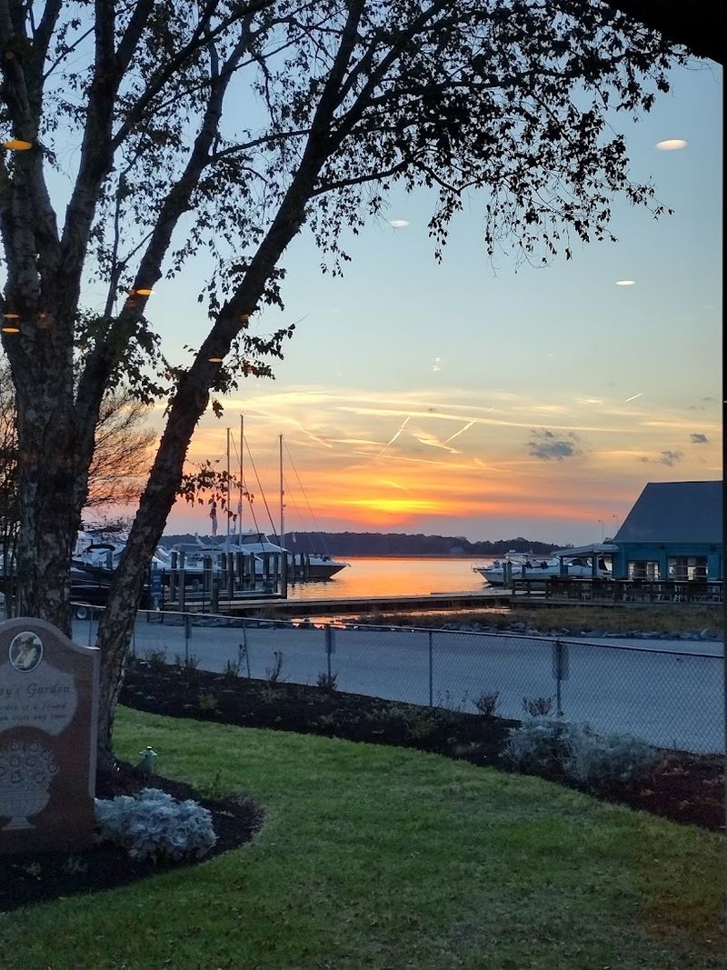 Waterfront Views That Make Every Meal Feel Special