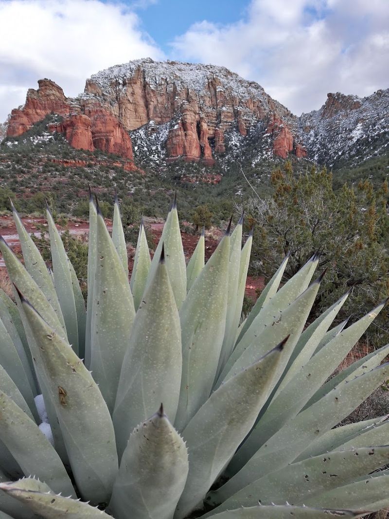 Weather and Safety Essentials for Desert Hiking Weather and Safety Essentials for Desert Hiking