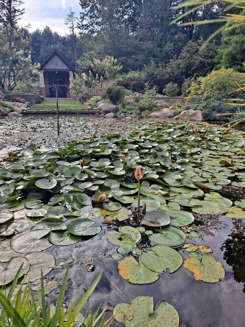 Wedding Venue Possibilities