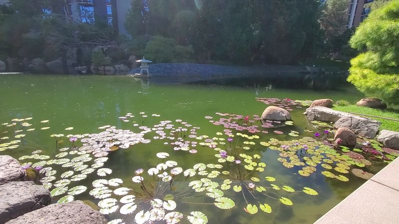 Weekend Events Turn the Garden Into a Cultural Celebration