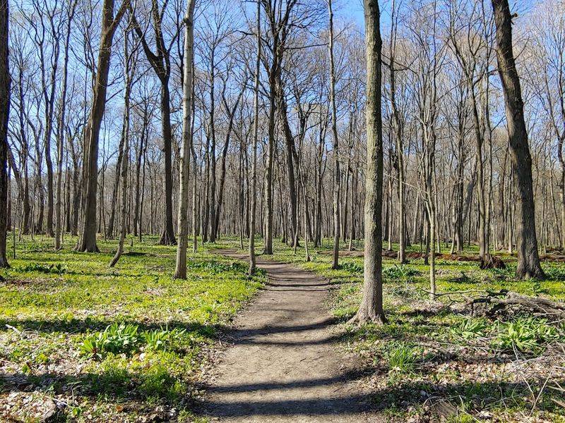 Well-Marked Hiking Trails for Every Skill Level