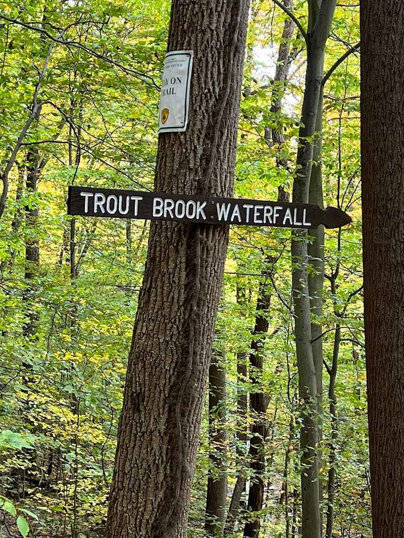 Well-Marked Trails That Keep You From Getting Lost Well-Marked Trails That Keep You From Getting Lost