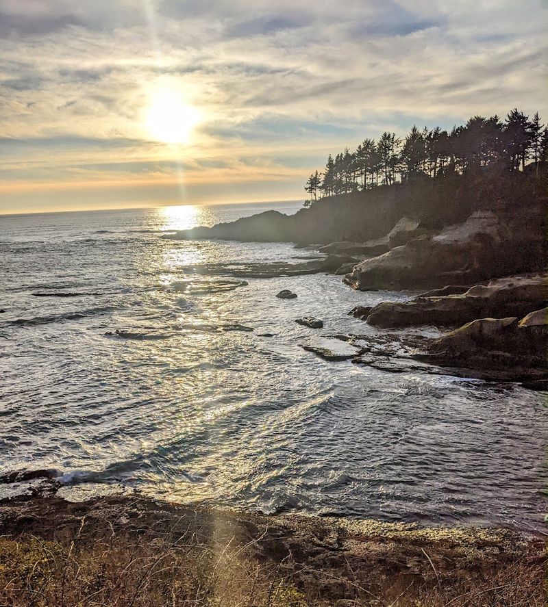 Whale Watching Like Nowhere Else on the Coast