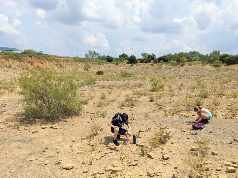 What Exactly Is Mineral Wells Fossil Park?
