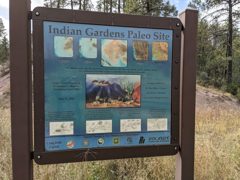 What Exactly Is the Paleo Site Monument? What Exactly Is the Paleo Site Monument?