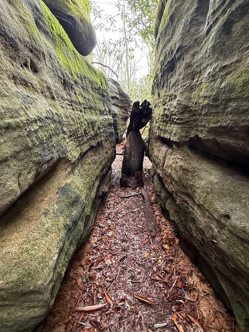 What Exactly Is the Rock Maze Trail Trailhead?