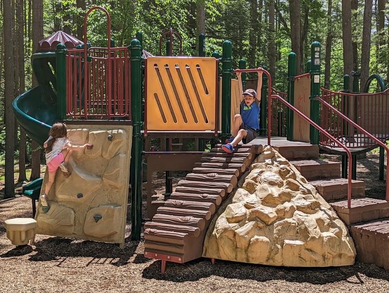 What Families With Kids Should Know Before Visiting