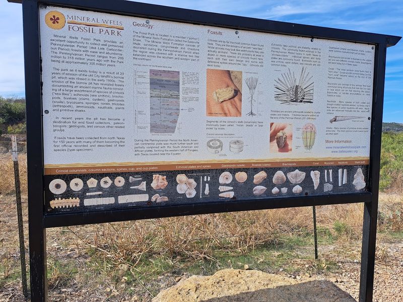 What Makes This Site 300 Million Years Old?