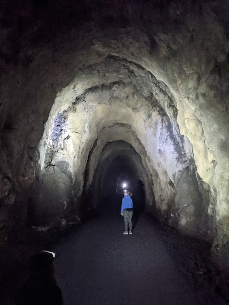 What the Tunnel Feels Like Inside What the Tunnel Feels Like Inside