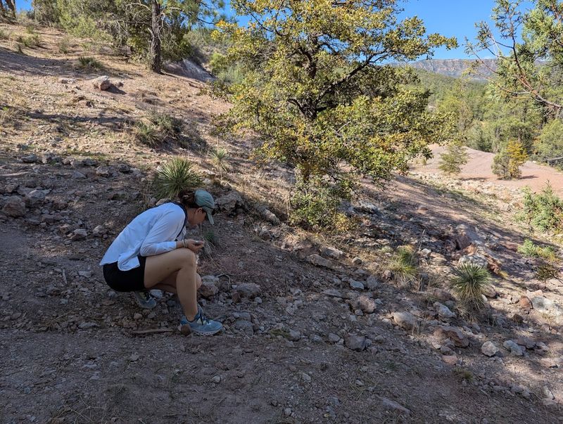 What to Bring for a Successful Fossil Hunt What to Bring for a Successful Fossil Hunt