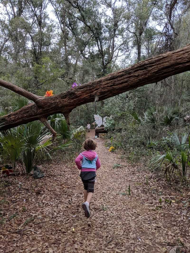 What to Bring for the Best Trail Experience