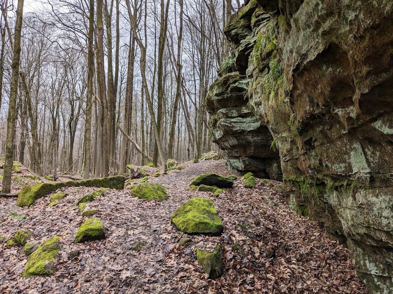 What to Know Before You Go: Practical Trail Tips What to Know Before You Go: Practical Trail Tips