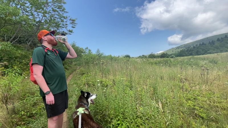 What to Pack for a Sam Knob Hike