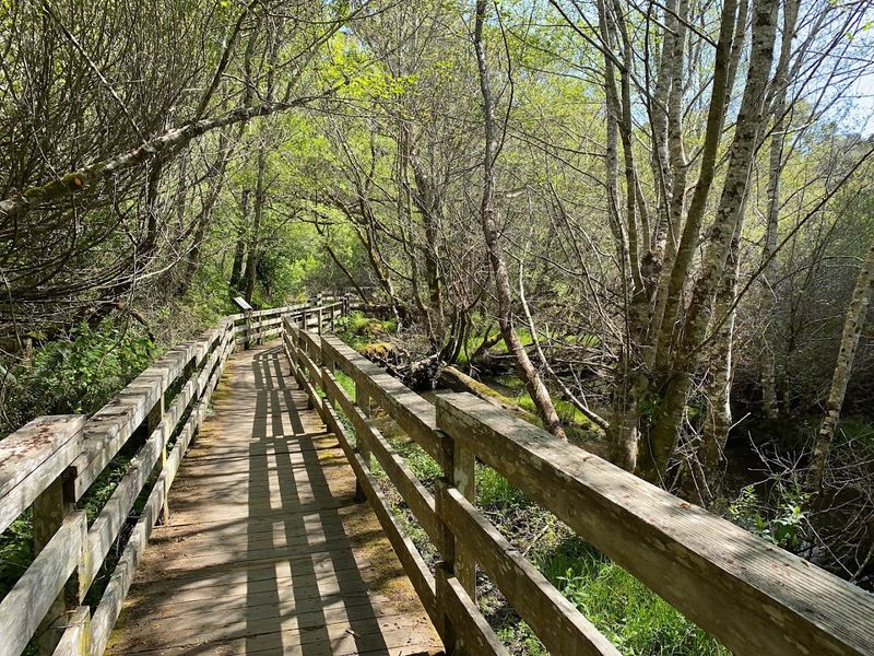 Wheelchair and Stroller Accessible Pathways