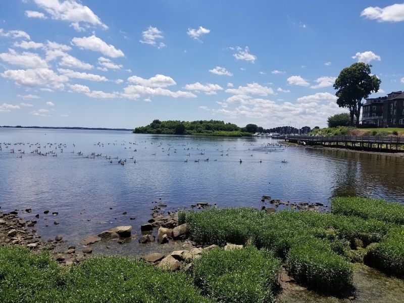 Where It All Began: The Susquehanna Flats