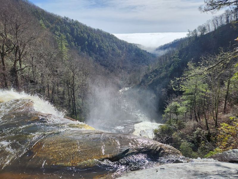 Where North Carolina Meets South Carolina in the Wild Where North Carolina Meets South Carolina in the Wild
