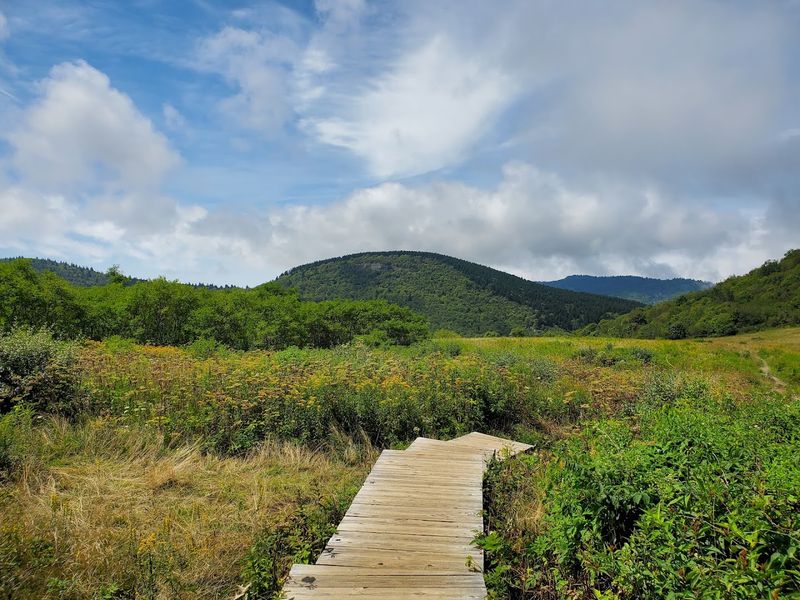 Where Sam Knob Trailhead Is Located