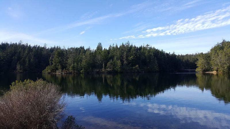 Whoahink Lake: Oregon's Hidden Diving Treasure