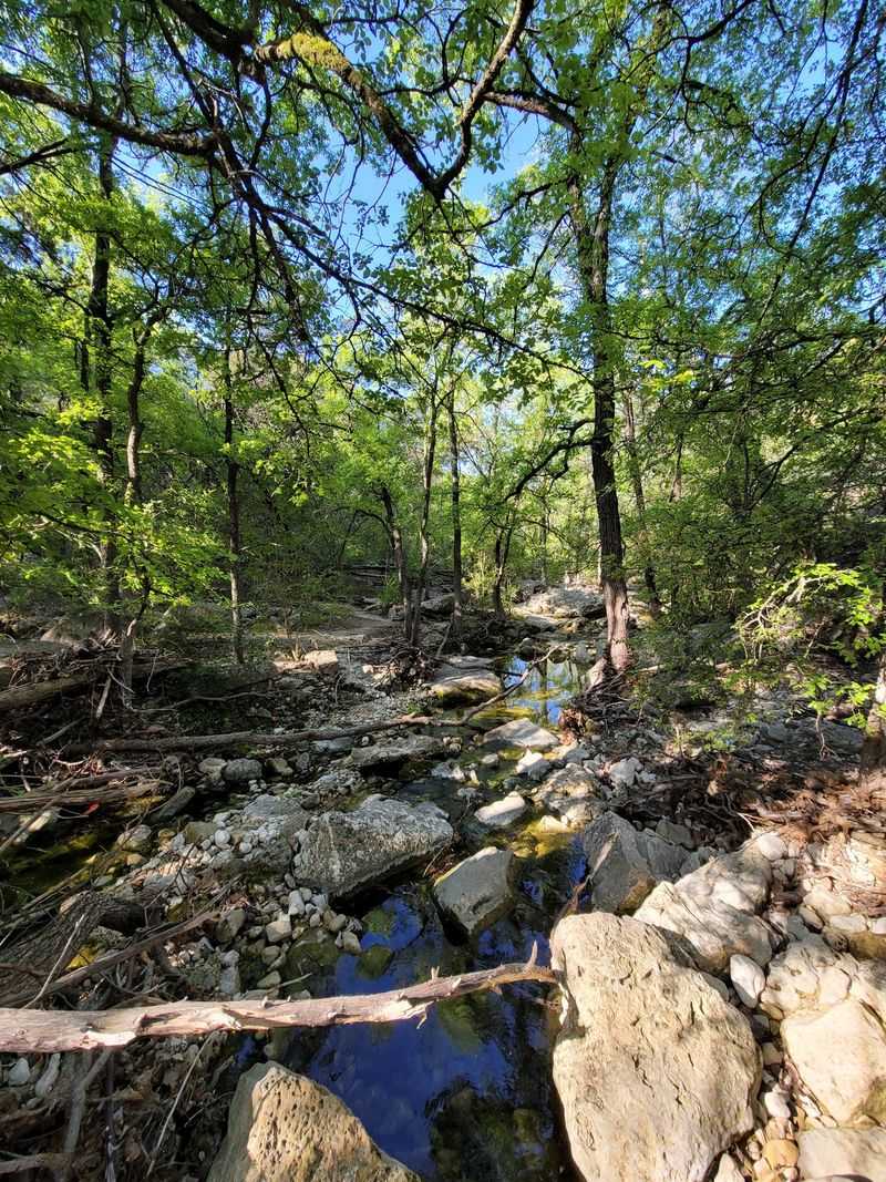 Why Austin Locals Keep Coming Back to This Hidden Spot