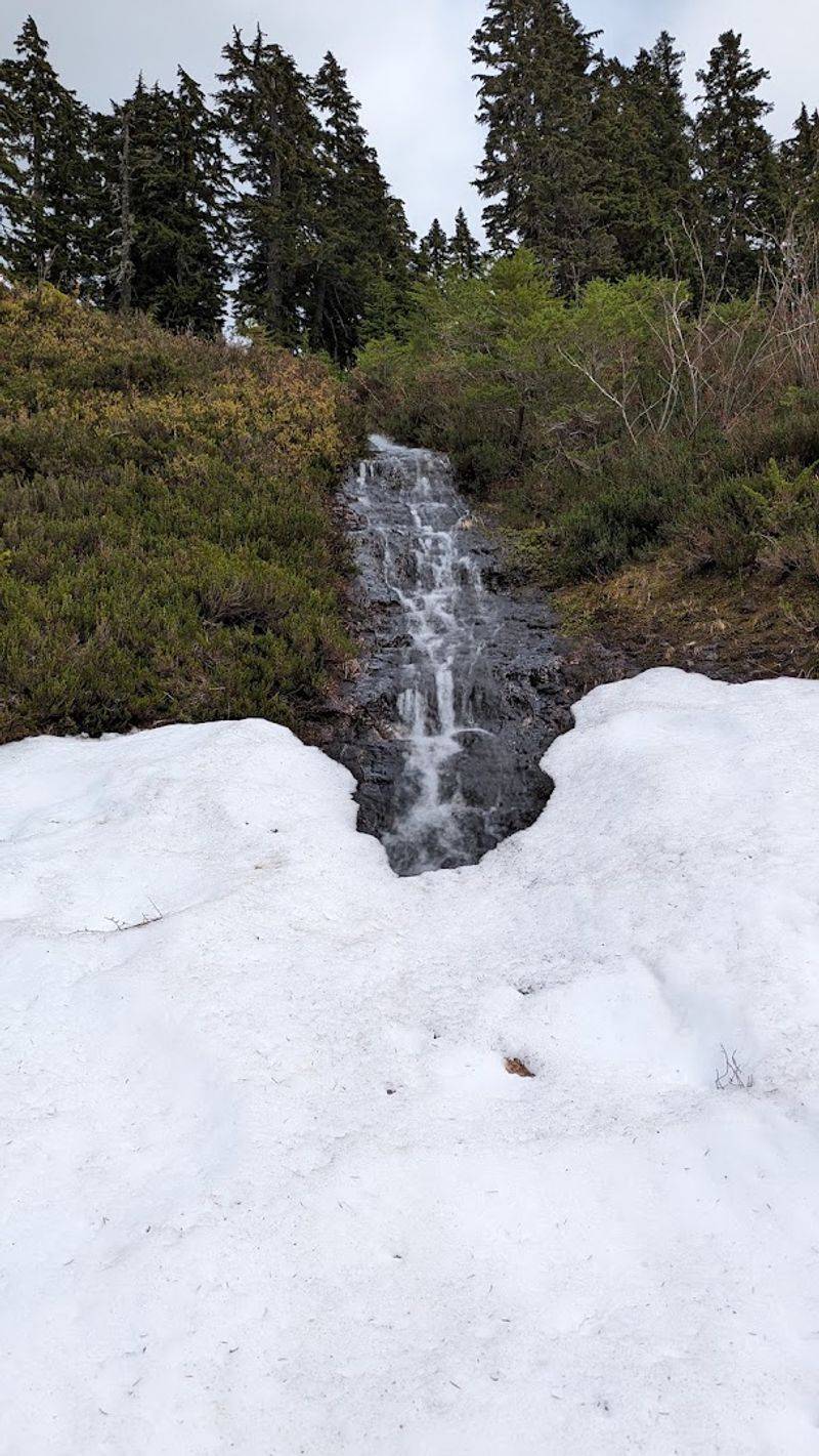 Why Bagley Creek Loop Deserves a Spot on Your Hiking List