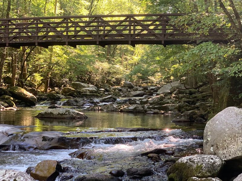 Why Big Creek Group Camp Belongs on Your Bucket List Why Big Creek Group Camp Belongs on Your Bucket List