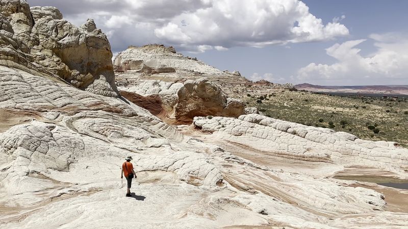 Why Booking a Guided Tour Is Worth Every Penny