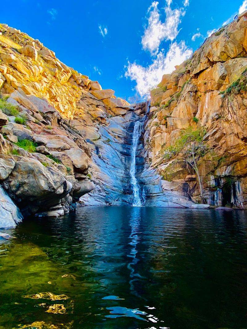 Why Cedar Creek Falls Feels Like a Hidden Gem Worth Protecting