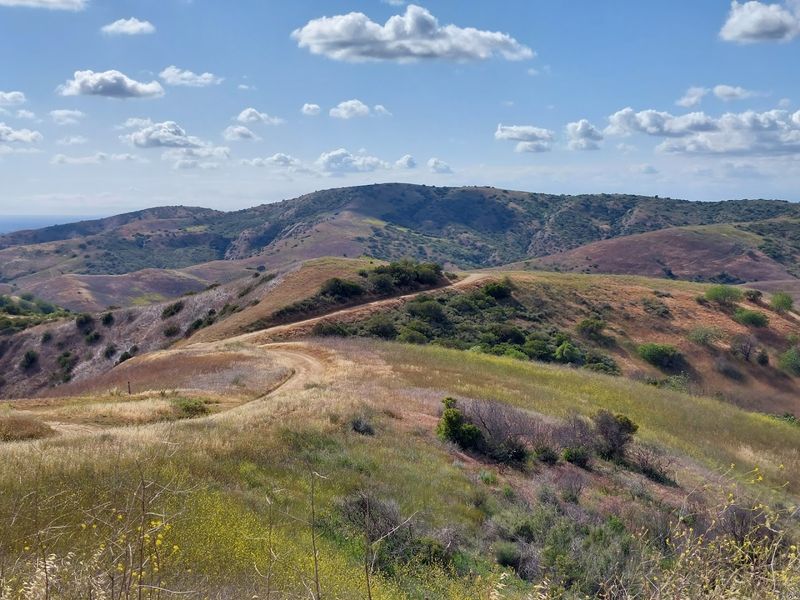 Why Chino Hills State Park Deserves More Recognition