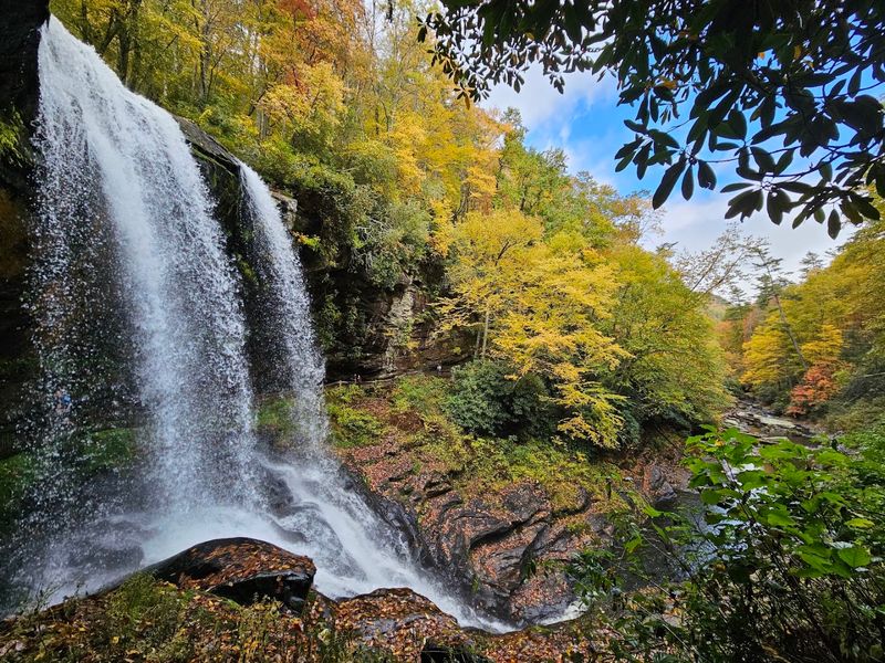 Why Dry Falls Earns Its 4.9-Star Rating — Real Visitor Reactions