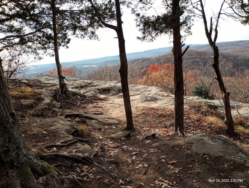 Why Fall and Late March Are the Best Times to Visit