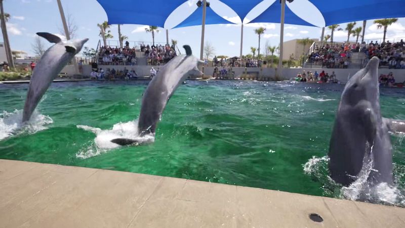 Why Families, Couples, and Solo Visitors All Love It Here Why Families, Couples, and Solo Visitors All Love It Here