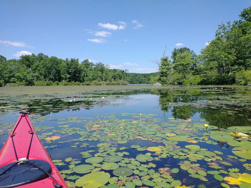 Why Farny State Park Deserves a Spot on Your Weekend Plans Why Farny State Park Deserves a Spot on Your Weekend Plans