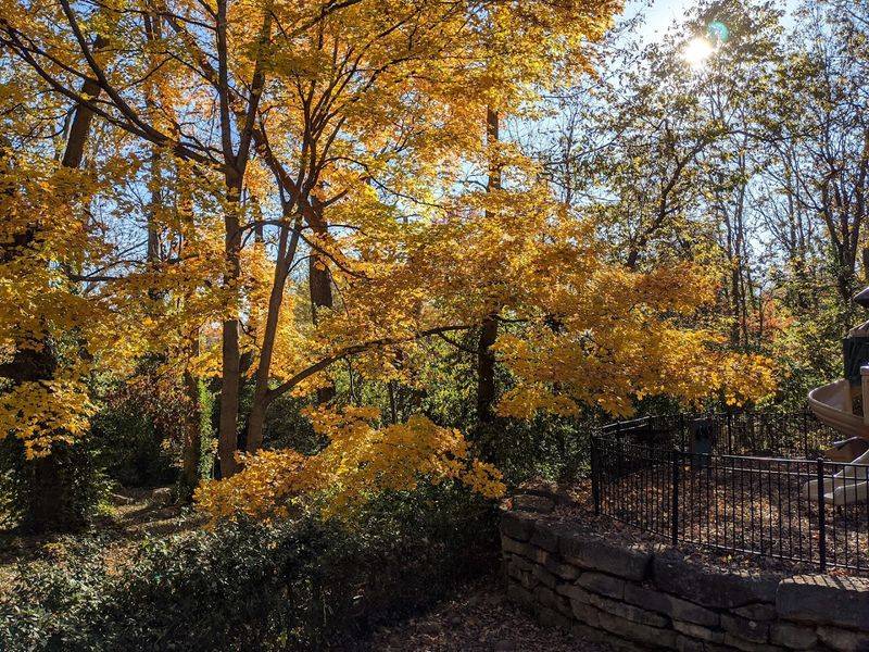 Why Hal Warheim Park Deserves a Spot on Your Louisville Bucket List