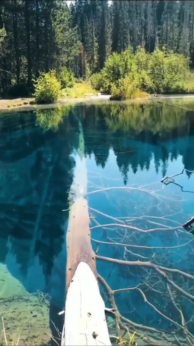 Why Little Crater Lake Belongs on Every Oregon Bucket List