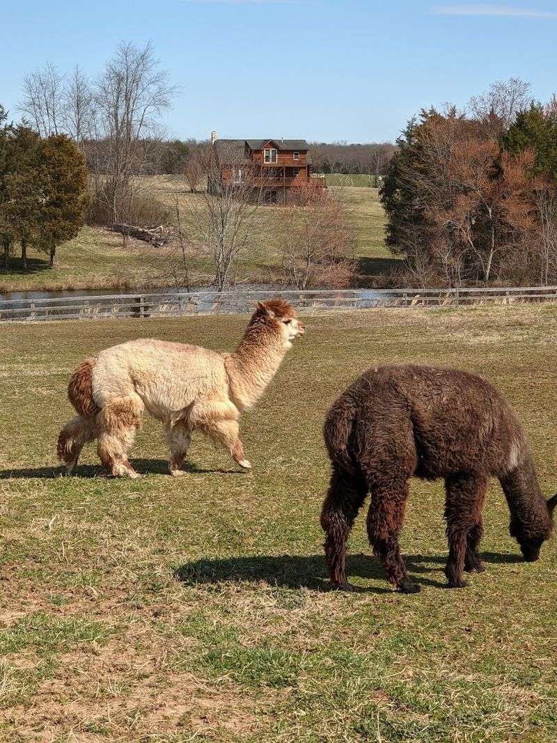 Why Lower Sherwood Farm Is Worth the Trip
