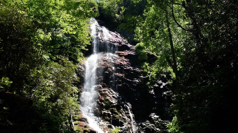 Why Mingo Falls Belongs on Every Smoky Mountains Bucket List