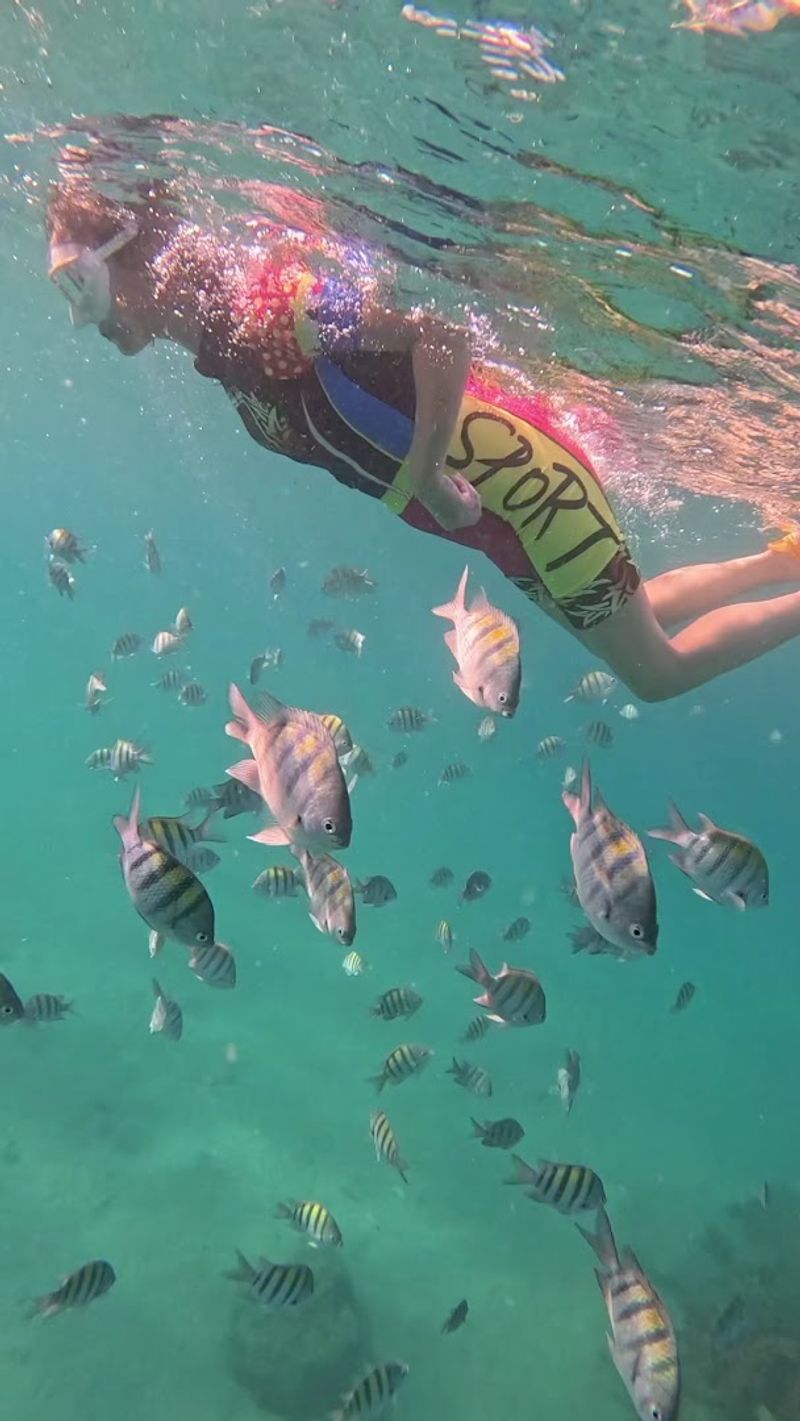 Why Phil Foster Park Is a Snorkeling Legend