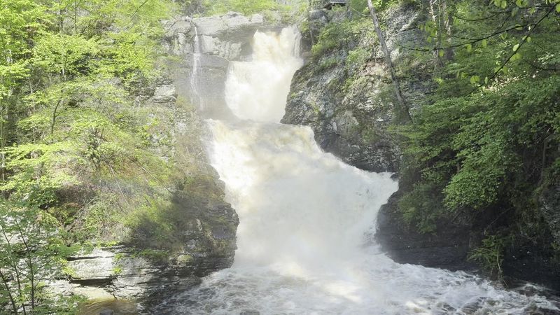 Why Raymondskill Falls Belongs on Your Bucket List Why Raymondskill Falls Belongs on Your Bucket List