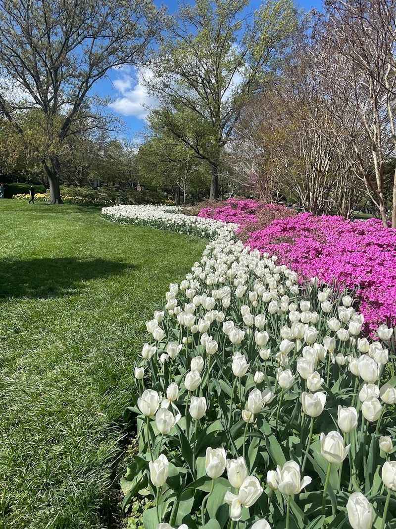 Why Sherwood Gardens Belongs on Every Spring Bucket List Why Sherwood Gardens Belongs on Every Spring Bucket List