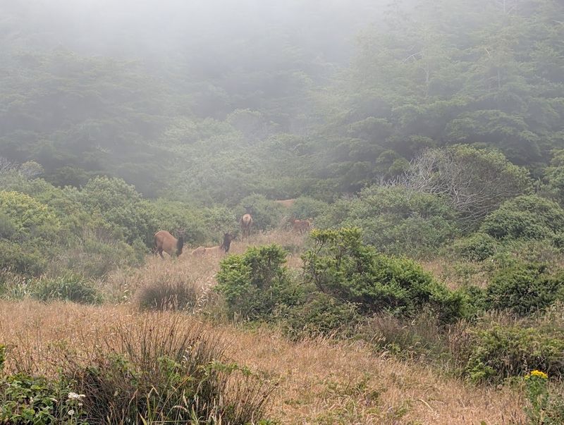 Why Sinkyone Feels Like a Lost World Worth Finding