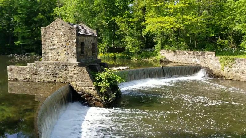 Why Speedwell Lake Park Deserves a Spot on Your List Why Speedwell Lake Park Deserves a Spot on Your List