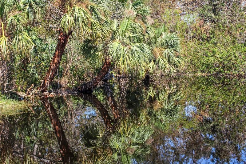 Why This Experience Belongs on Every Florida Bucket List