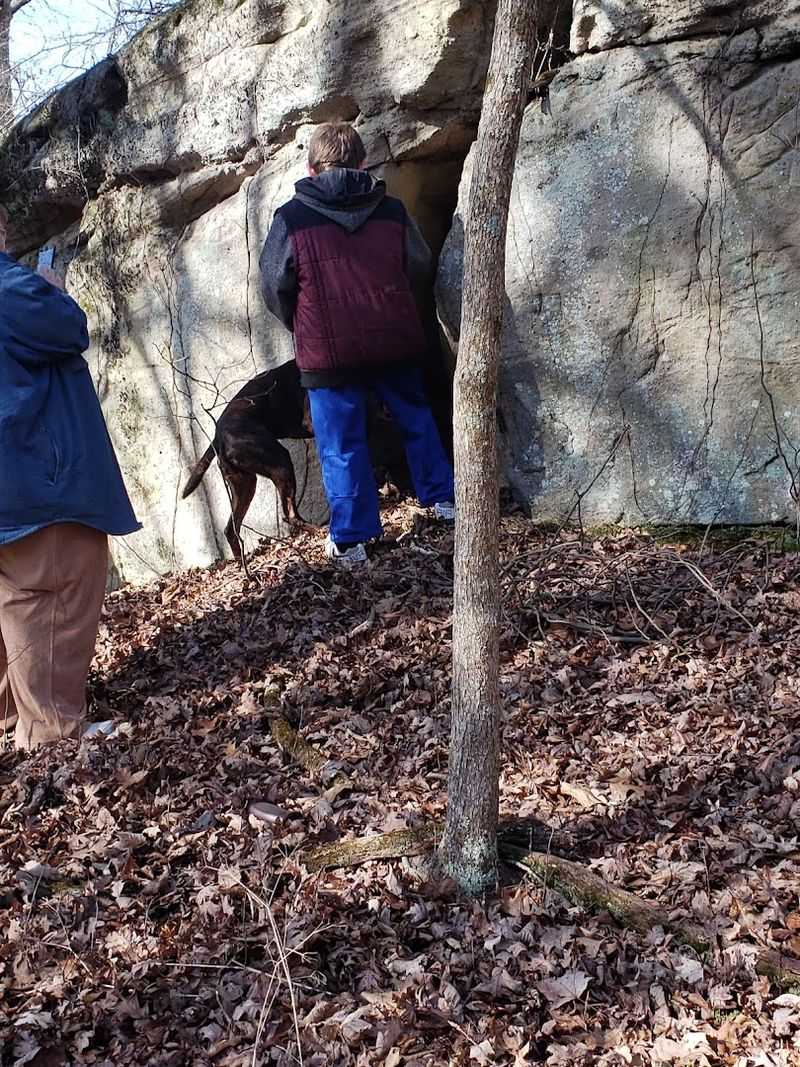 Why This Hidden Trail Deserves a Spot on Every Illinois Bucket List
