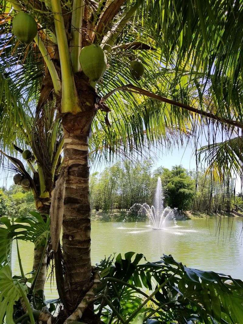 Why This Homestead Hidden Gem Deserves a Spot on Your Florida Bucket List Why This Homestead Hidden Gem Deserves a Spot on Your Florida Bucket List