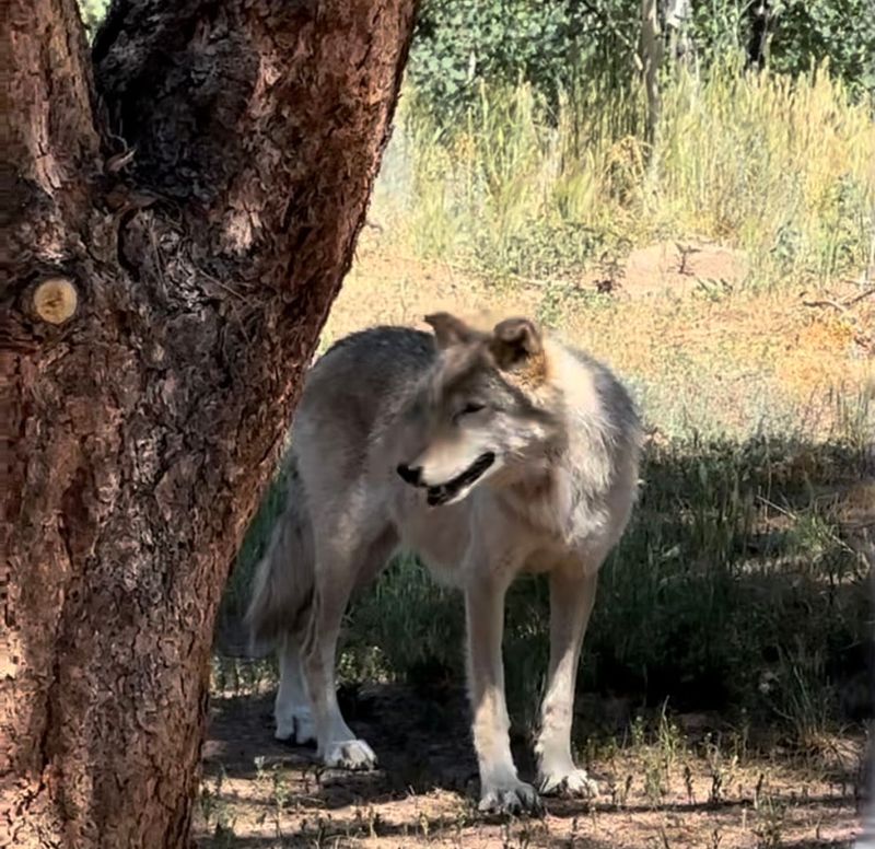 Why This Place Feels Different From a Zoo