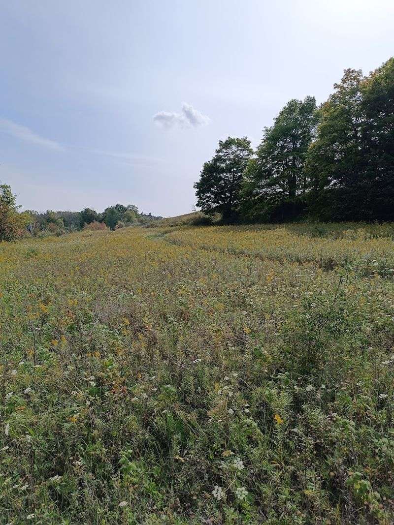 Why This Preserve Matters Beyond the Views Why This Preserve Matters Beyond the Views